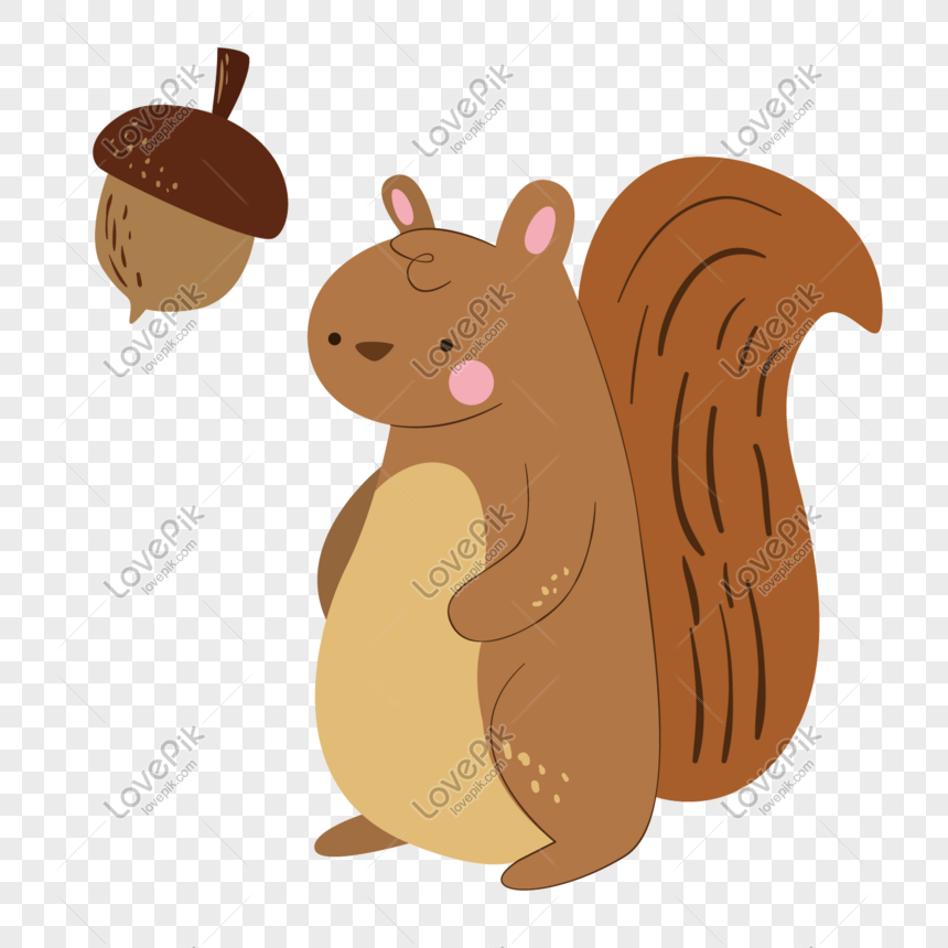 860x860 Cute Squirrel Vector Material Png Image Picture Free Download