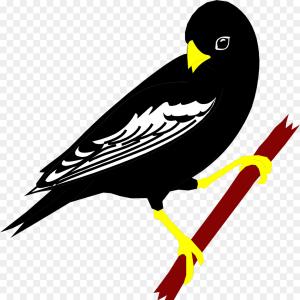 300x300 St Louis Cardinals Logo Collection Vector Logos Major League