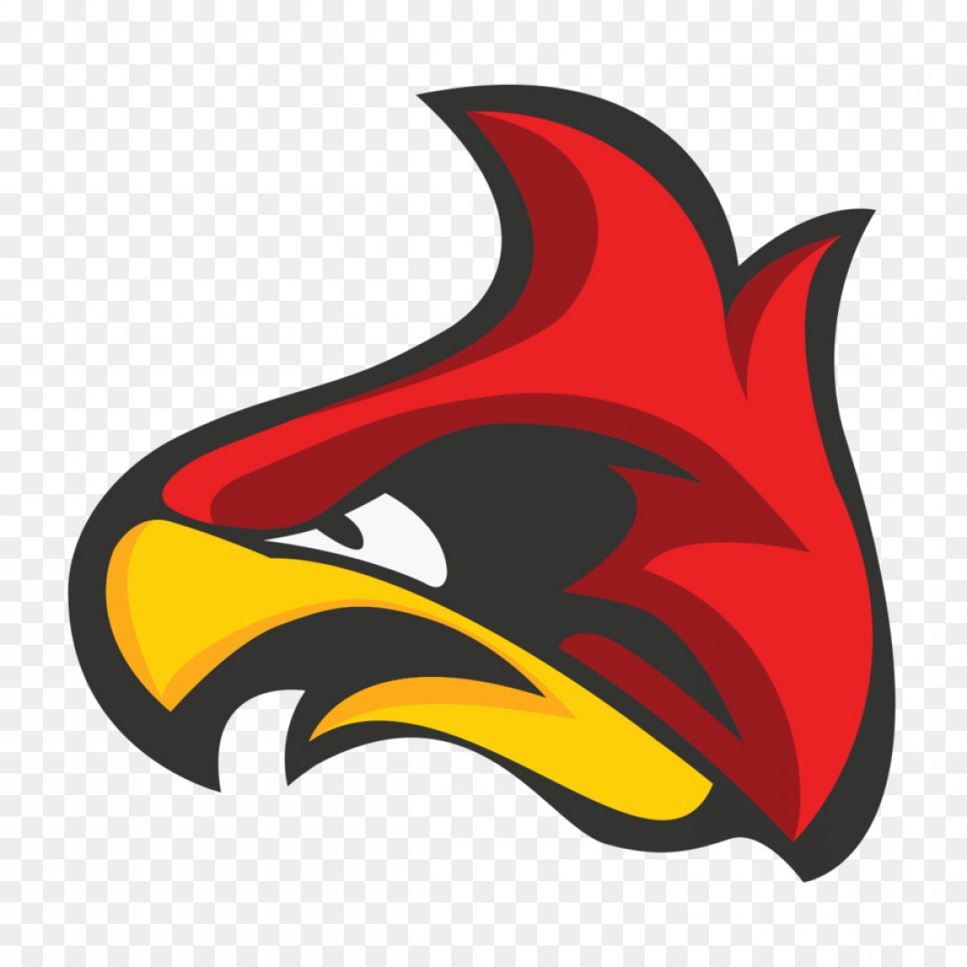 1080x1080 St Louis Cardinals Vector Hoodamathrun