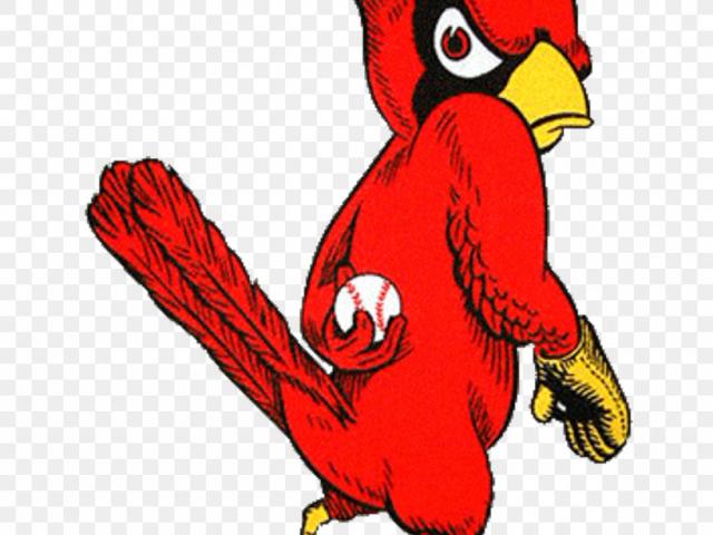 640x480 St Louis Cardinals Vector Logo