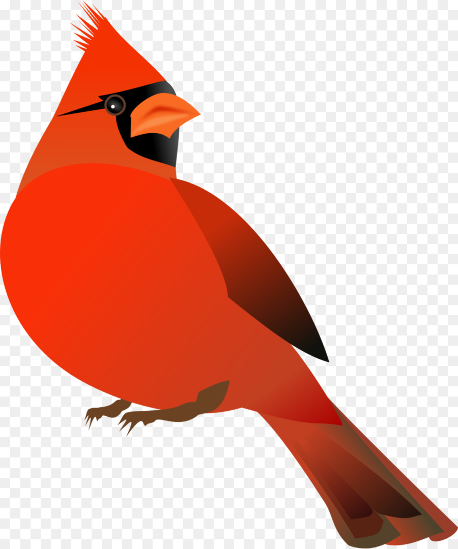 900x1080 Download Free Cardinal Vector Clipart St Louis Cardinals Clip Art
