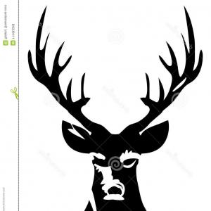 300x300 Vector Deer Head Silhouette Isolated White Vector Illustration