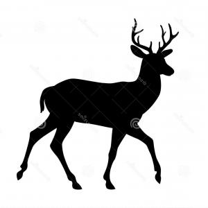 Deer Vector Deer Silhouette Deer Clip Art Buck Sil Studiogrfx 300x300 Deer Vector Deer Silhouette Deer Clip Art Buck Sil Studiogrfx