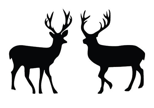Two Deers Added To This Free Deer Silhouette Vector Best Suits 500x350 Two Deers Added To This Free Deer Silhouette Vector Best Suits
