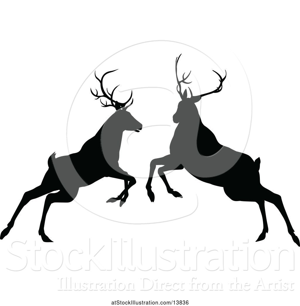 Vector Illustration Of Black Silhouetted Deer Stag Bucks Rutting 1024x1044 Vector Illustration Of Black Silhouetted Deer Stag Bucks Rutting