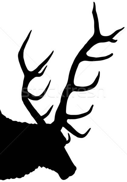 Stag Silhouette Vector Illustration Steve Mann 419x600 Stag Silhouette Vector Illustration Steve Mann