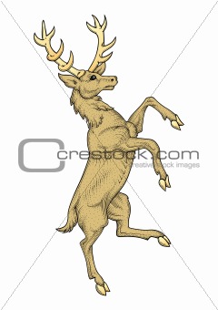 Image Rampant Stag Vector From Crestock Stock Photos 240x340 Image Rampant Stag Vector From Crestock Stock Photos