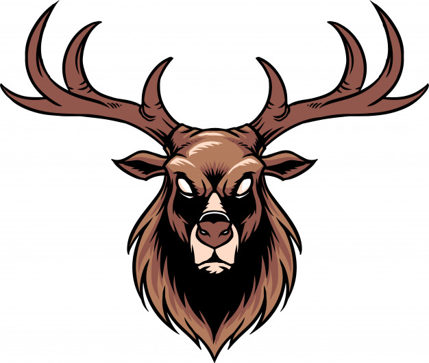 Stag Vector Premium Download 626x530 Stag Vector Premium Download