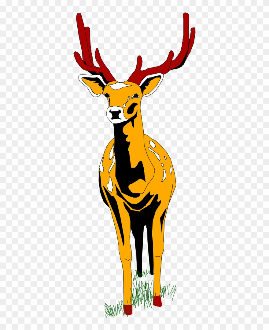 Stag Vector Wildlife 880x1081 Stag Vector Wildlife