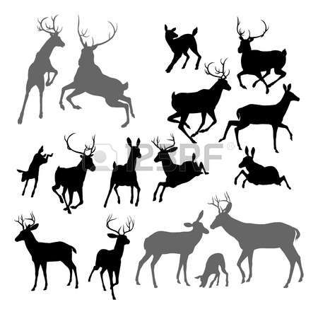 Stock Vector Bible Art Deer Silhouette, Animal Silhouette, Deer 450x444 Stock Vector Bible Art Deer Silhouette, Animal Silhouette, Deer