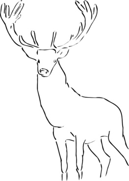Vector Stag For Free Download 263x368 Vector Stag For Free Download