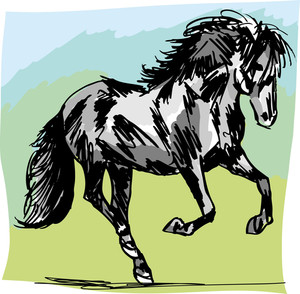 Stallion Vector