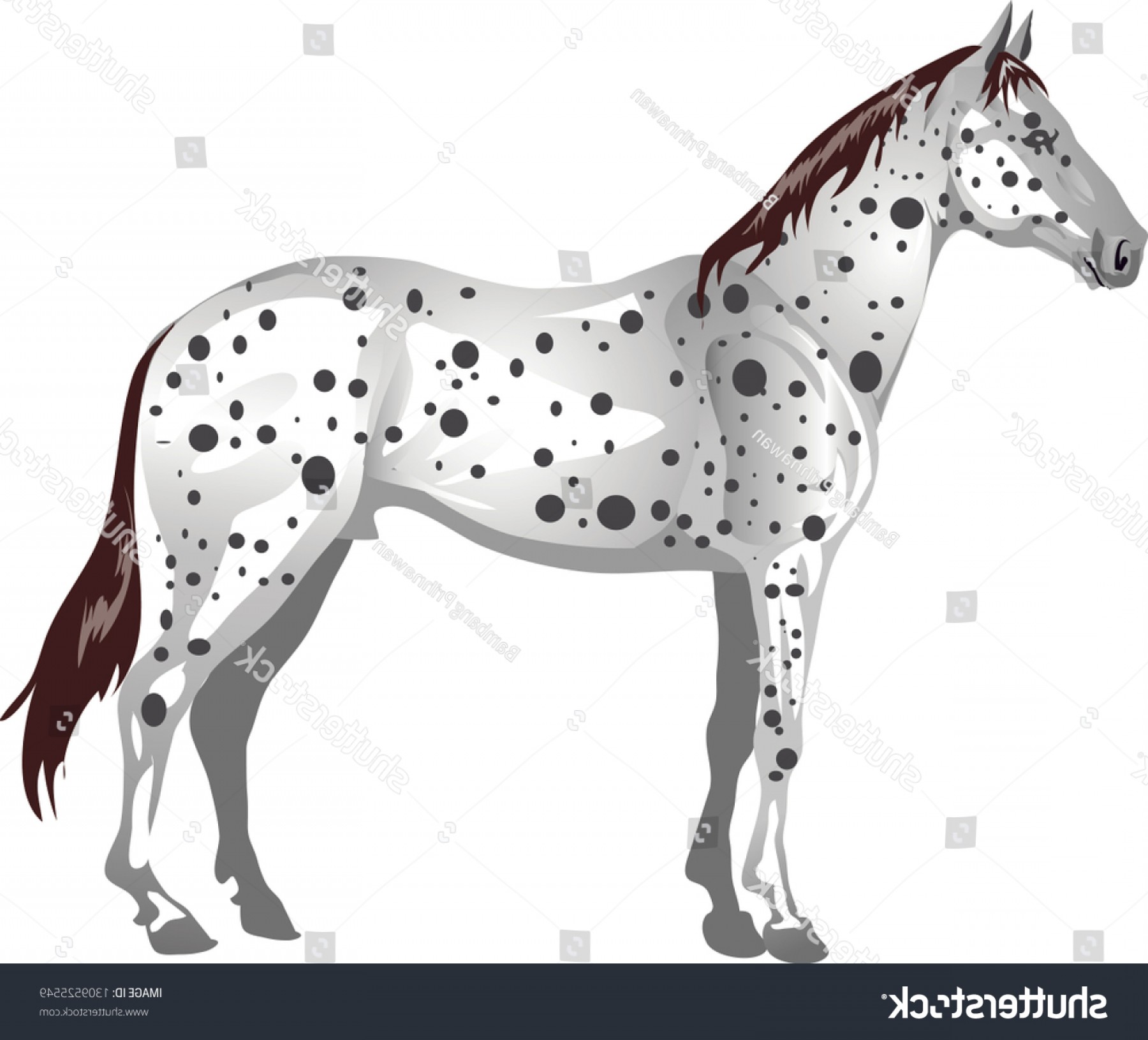 1800x1630 Appaloosa Horse Stallion Galop Animal Vector Savoyuptown