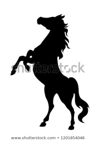 320x470 Vector Silhouette Of Rearing Horse Standing On Its Back Legs