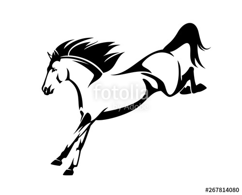 500x402 Wild Mustang Horse Jumping Down