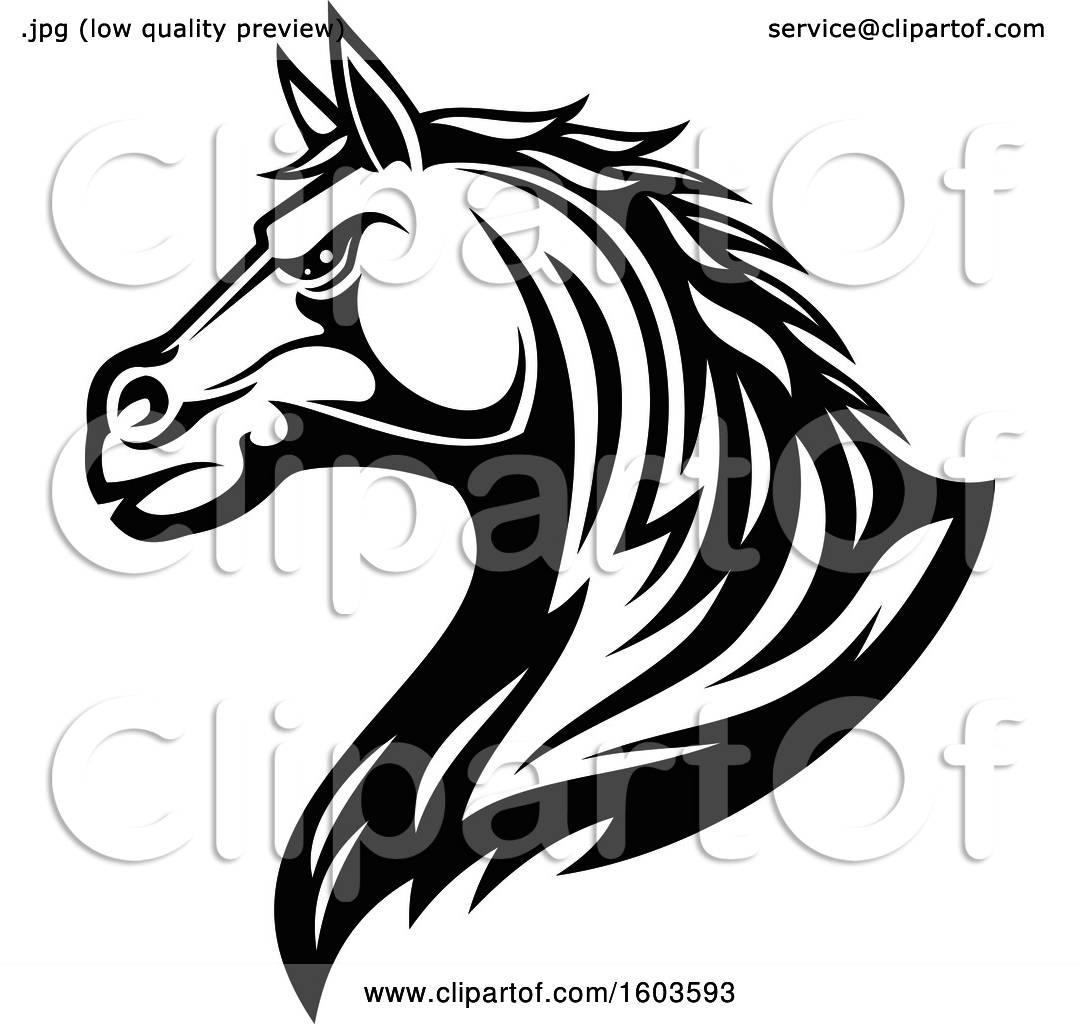 1080x1024 Clipart Of A Black And White Tough Stallion Horse