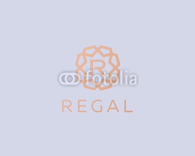 400x320 Premium Letter R Logo Icon Vector Design Luxury Jewelry Frame Gem