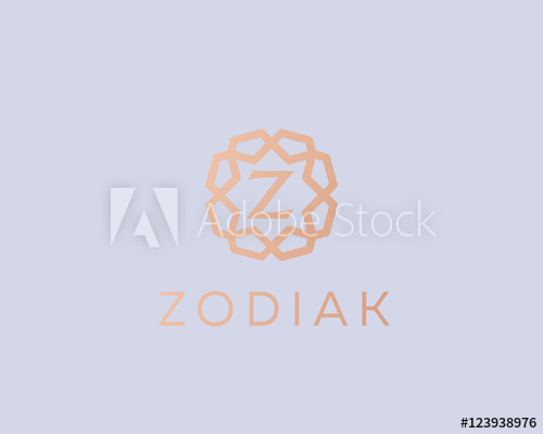 500x400 Premium Letter Z Logo Icon Vector Design Luxury Jewelry Frame Gem