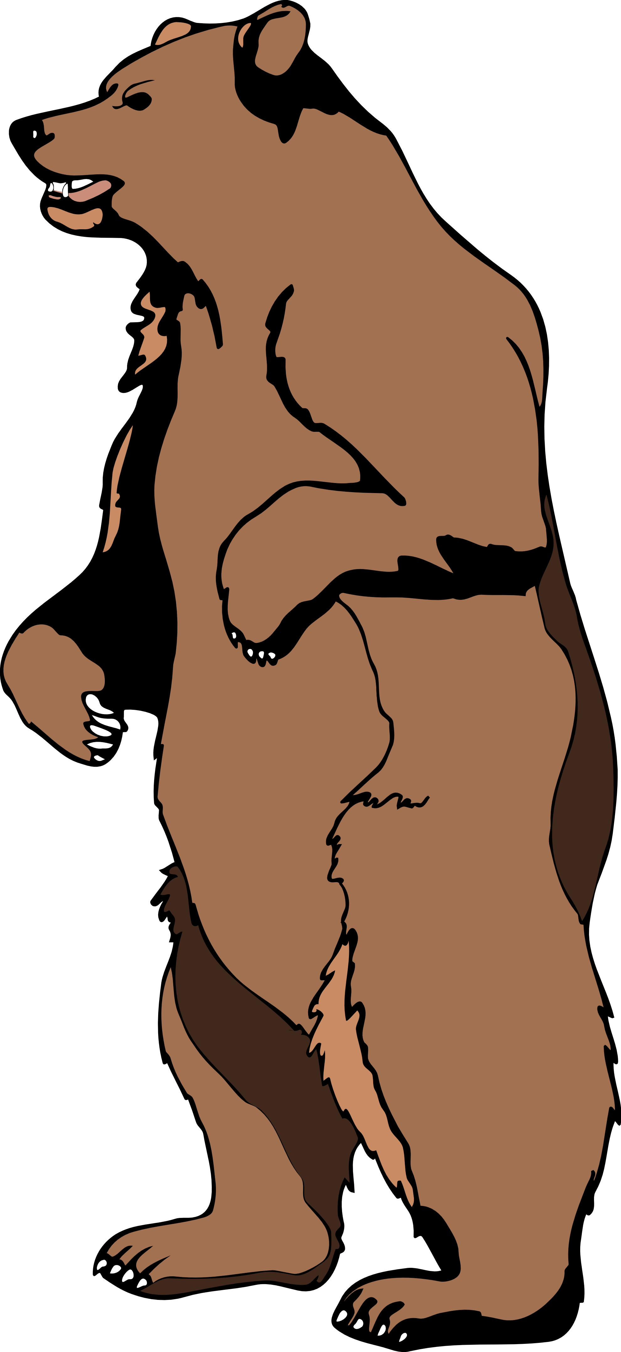 Cliparts For Free Download Grizzly Clipart Drawing And Use 1979x4305 Cliparts For Free Download Grizzly Clipart Drawing And Use