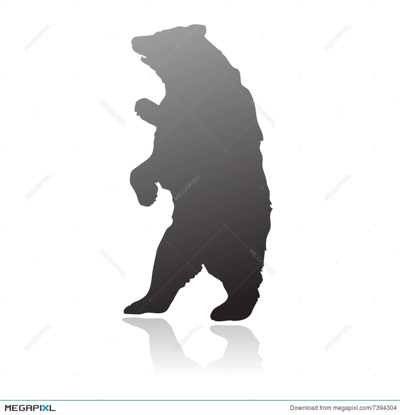Standing Bear Silhouette Vector Illustration 800x830 Standing Bear Silhouette Vector Illustration
