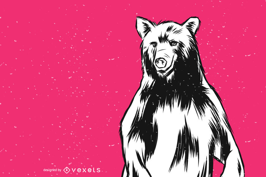 855x570 Standing Bear Vector Illustration