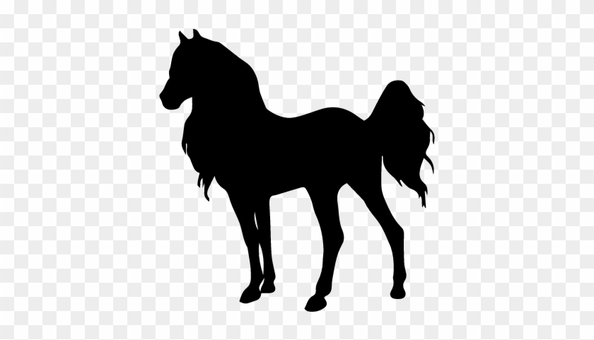 840x481 Horse Standing Young Animal Shape Of Long Hair Vector