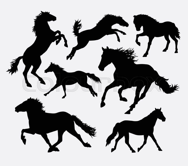 800x706 Horse Running, Jumping, Standing, Stock Vector Colourbox