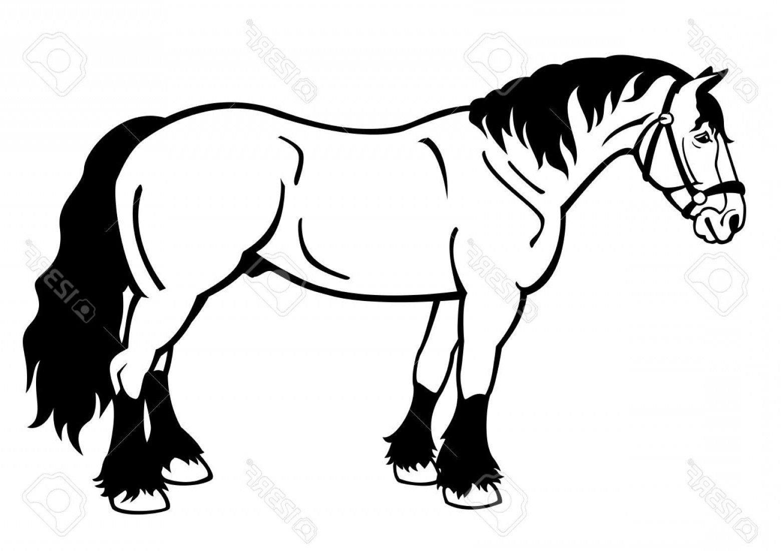 1560x1102 Photostanding Draft Horse Black And White Vector Image Isolated