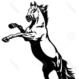 300x300 Rearing Up Black Mustang Horse Vector Silhouette Standing Side