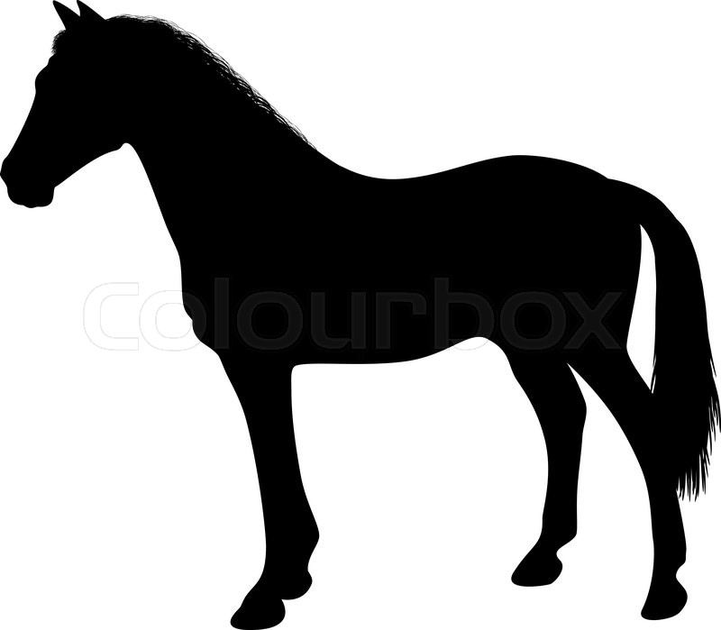 800x699 Silhouette Of A Standing Horse There Stock Vector Colourbox
