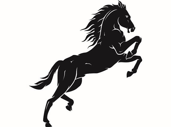570x425 Standing Horse Logos