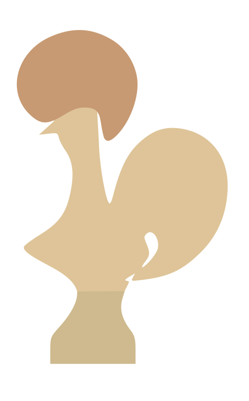 Coq Logo Vector Image Caleb Stanford 500x804 Coq Logo Vector Image Caleb Stanford