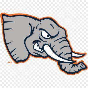 300x300 Png Stanford University School Of Medicine University Createmepink