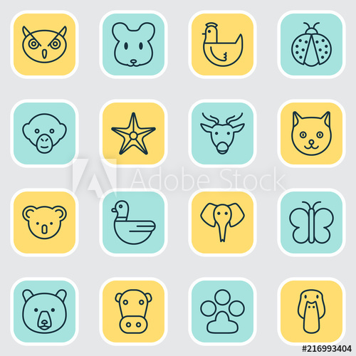 500x500 Nature Icons Set With Cat, Sea Star, Butterfly And Other Duck