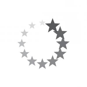 300x300 Abstract Geometric Circle Of Stars Icon Vector Newwaysys