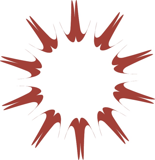 640x660 Star Shaped Vector Symbol