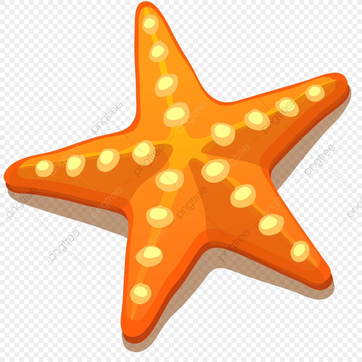 1200x1200 Starfish, Png, Nature Png And Vector With Transparent Background