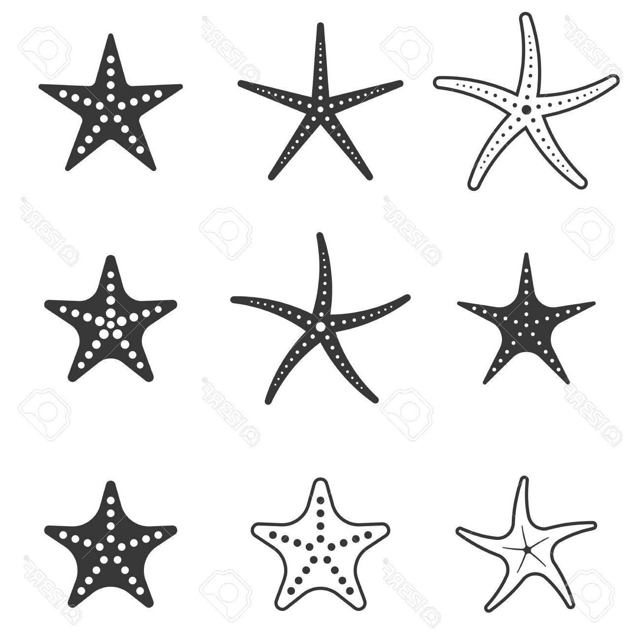 1300x1300 Best Silhouette Starfish Vector Image Vector Images Design