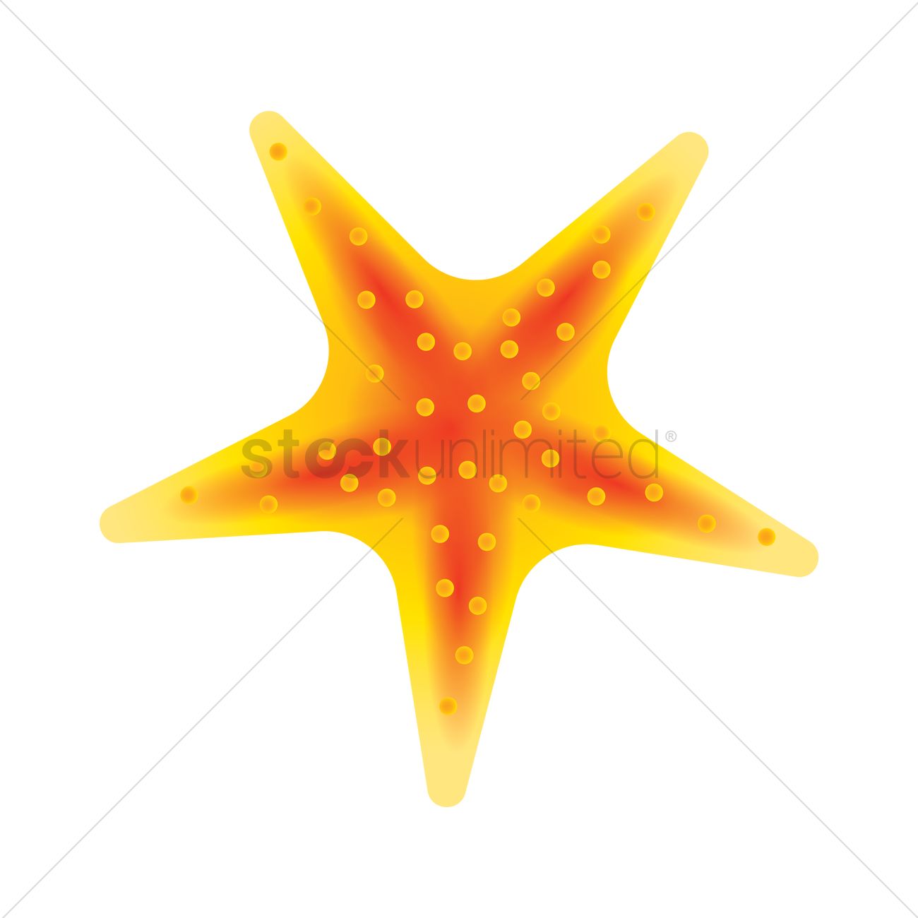 Starfish Vector at Vectorified.com | Collection of Starfish Vector free ...