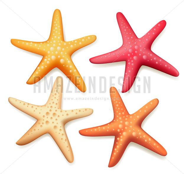 623x590 Starfish Vector Set Realistic Colorful In White