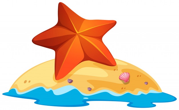 626x386 Starfish Vectors, Photos And Free Download