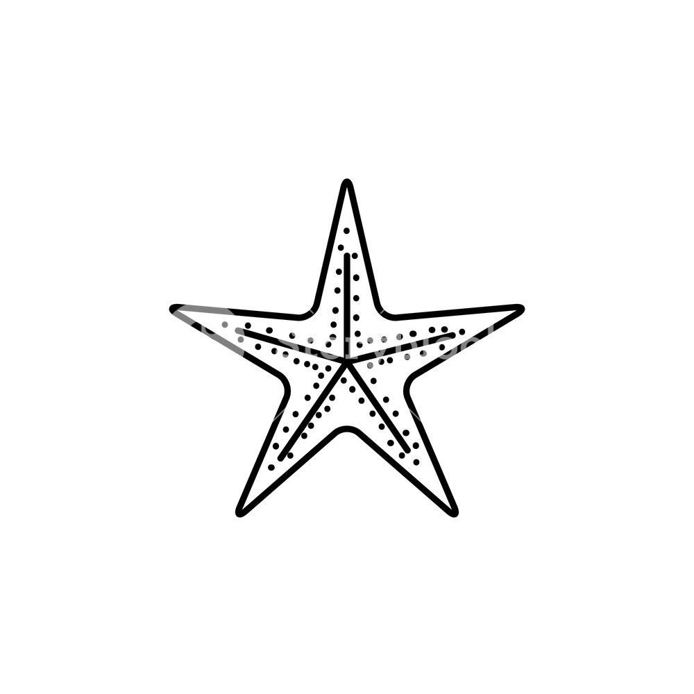 1000x1000 Black Silhouette Of Sea Starfish Vector Illustration Royalty Free