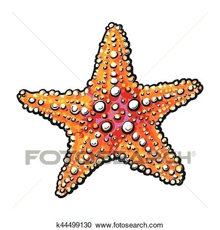 450x470 Sketch Of A Starfish