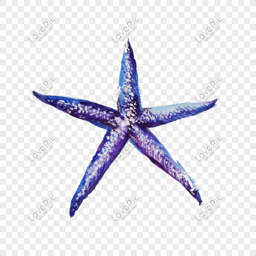 860x860 Cartoon Blue Starfish Vector Material Png Image Picture Free