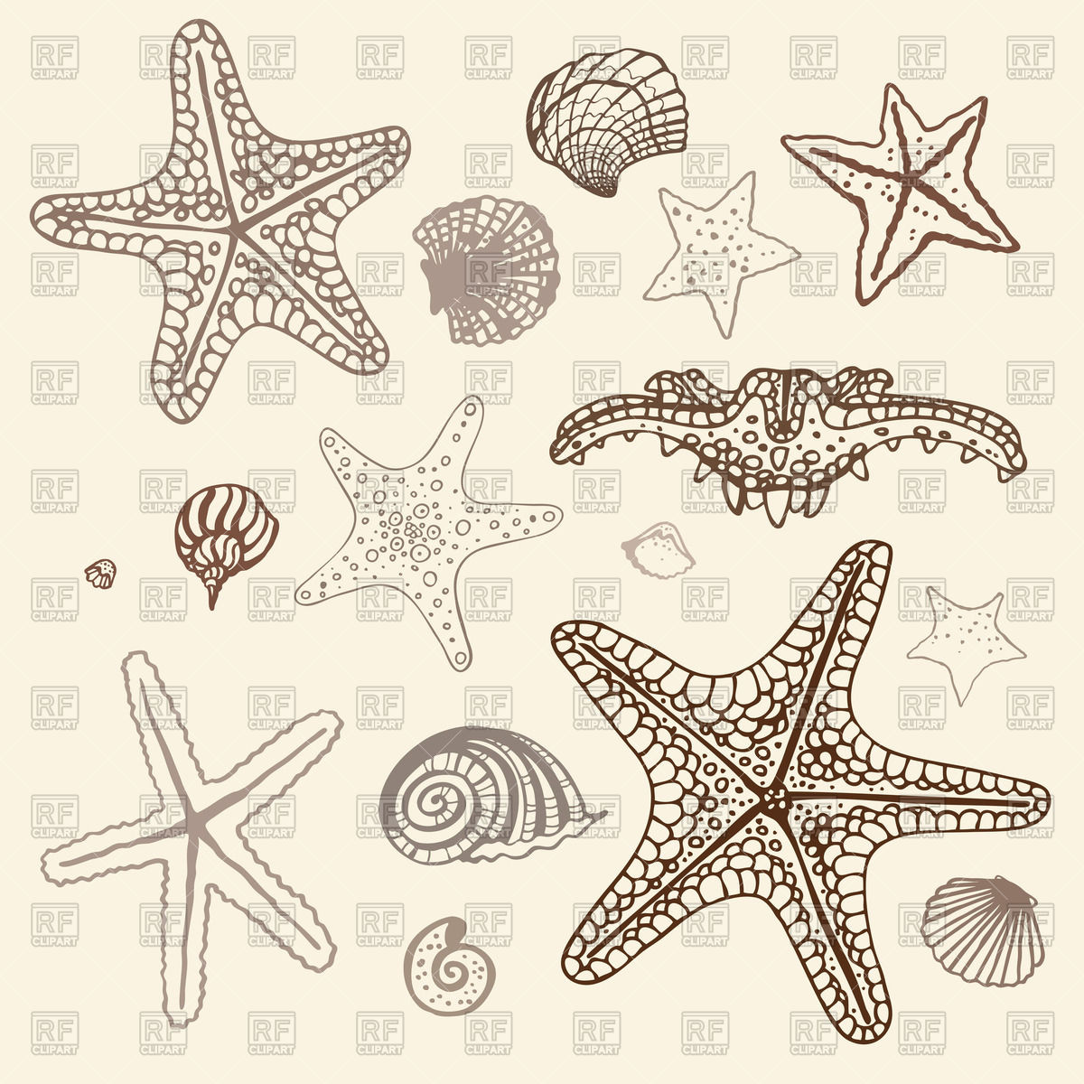 1200x1200 Set Of Shells And Starfish Vector Image Of Plants And Animals