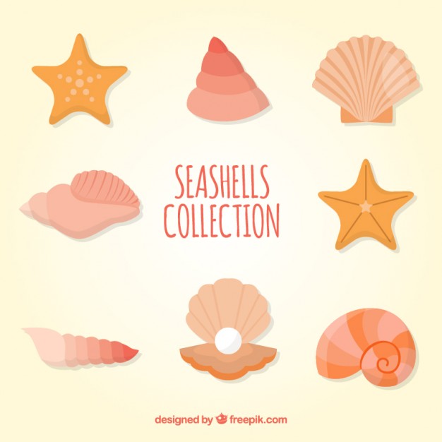 626x626 Starfish Vectors, Photos And Free Download
