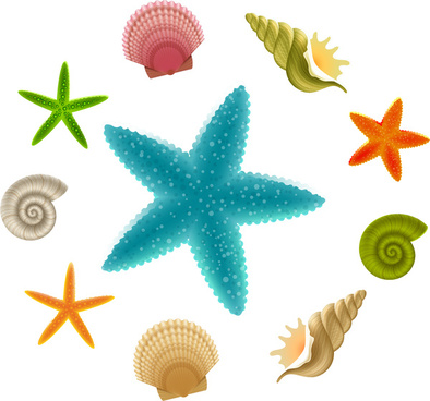 394x368 Starfish Free Vector Download