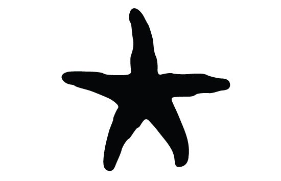 550x354 Starfish Silhouette Vector Fish Vector Graphics Silhouette