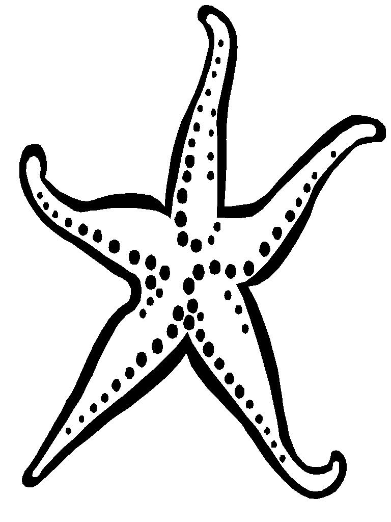 768x1024 Unique Starfish Printable Pattern Vector Design Free Vector Art