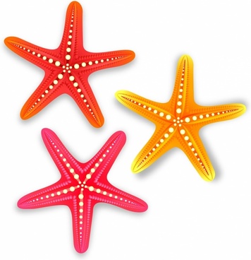 356x368 Vector Starfish For Free Download